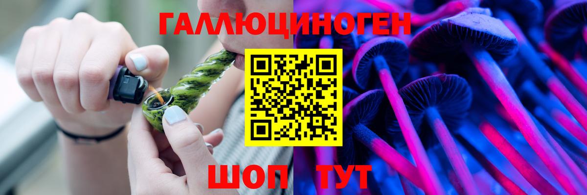 Псилоцибиновые грибы Cubensis Хасавюрт